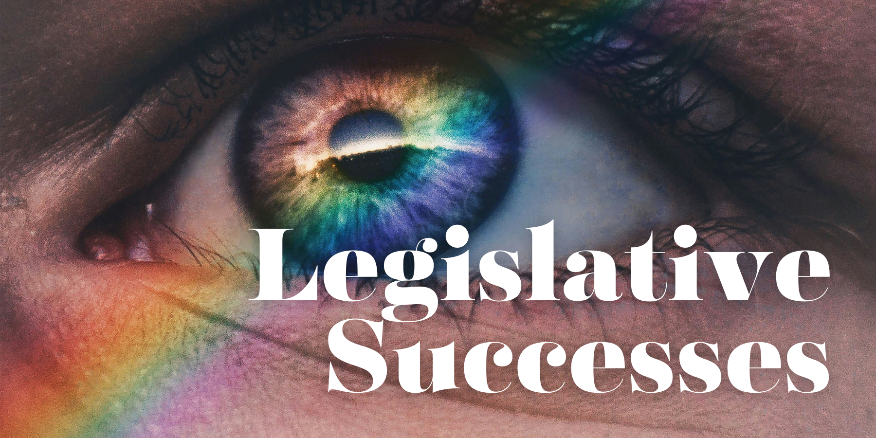 legislative successes banner